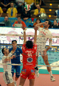 Terzultimo turno di regular season in serie A1 TIM. La guida a Piacenza-Trento di martedì sera