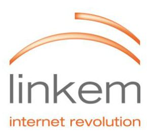 21032013linkem