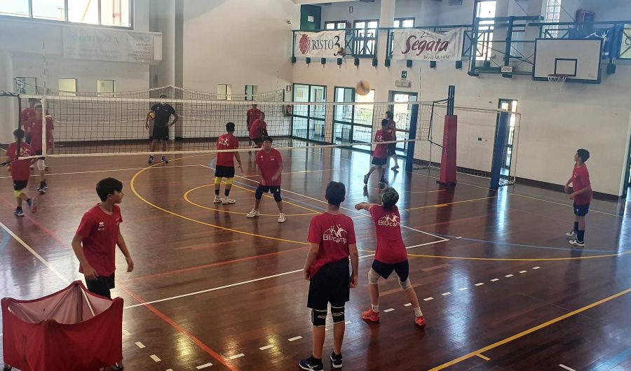 Lavoro in palestra a Sopramonte